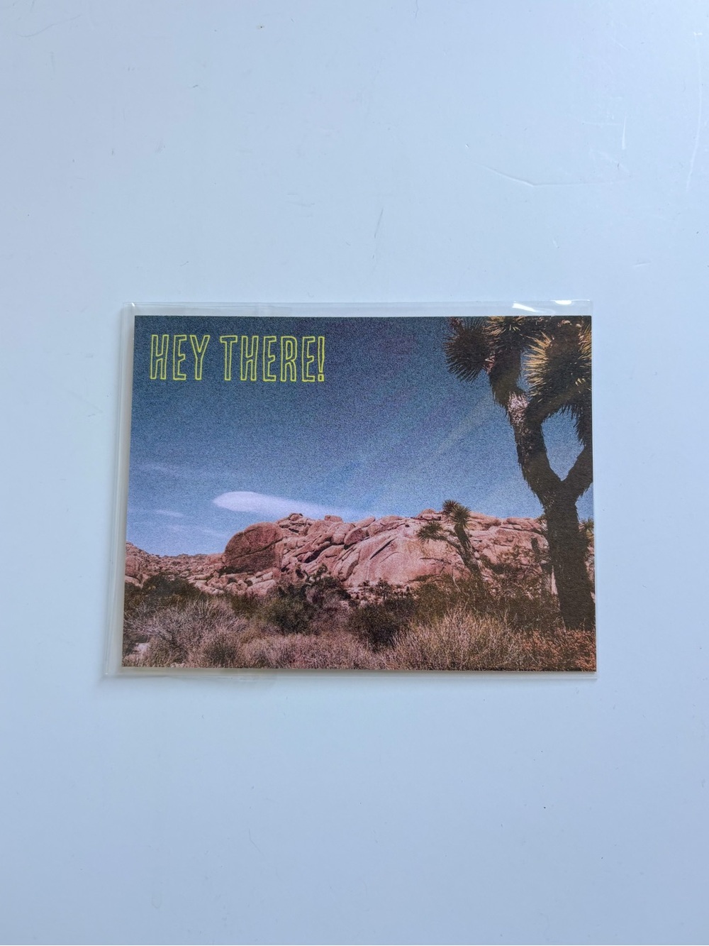 Joshua Tree Greeting Postcard